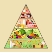 food pyramid