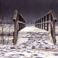 bridge