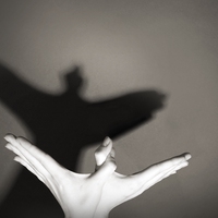 shadow