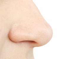 nose