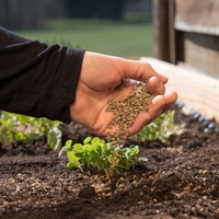 fertiliser