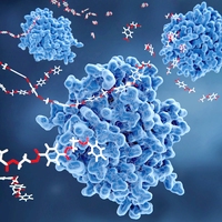 enzyme