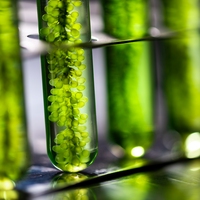 natural sciences