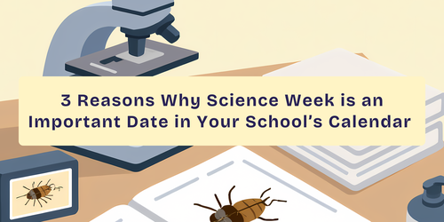 3 Reasons Why Science Week is an Important Date in Your School’s Calendar 