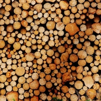 biomass