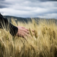 agriculture