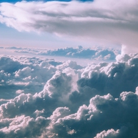 respiration