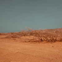 desert