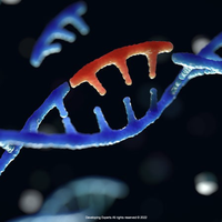 mutation