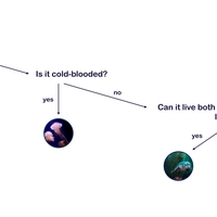 process of elimination