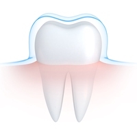 enamel