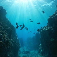 depth