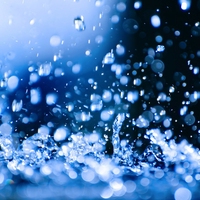 fluid