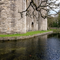moat