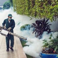 insecticide