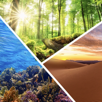 ecosystem