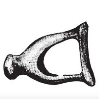 stirrup