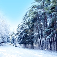 winter