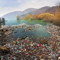 negative impacts