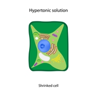hypertonic