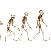 evolution
