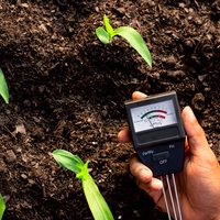 independent variable