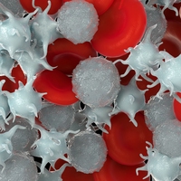 platelet