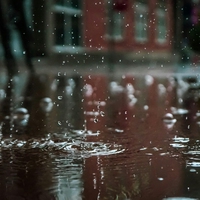 rainfall