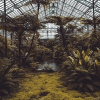 abiotic