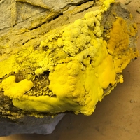 mineral