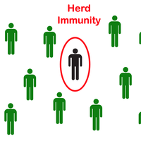 herd immunity