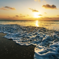ocean tides