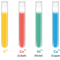 transition metals
