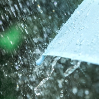 rainfall