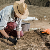 archaeologist