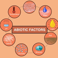 abiotic
