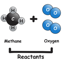 reactants