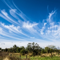 cirrus