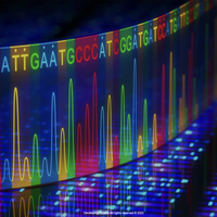 gene theory
