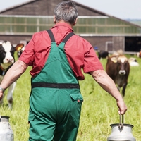 dairy farm