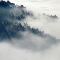 fog