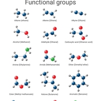 functional group