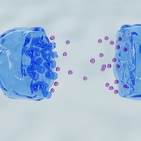 neurotransmitter