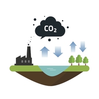 carbon cycle