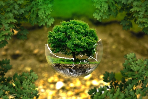 Unleashing the Eco-Warriors: Teaching and Engaging Students on World Environment Day!