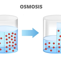 osmosis