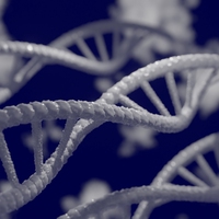mutations