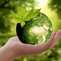 The Eco Experts