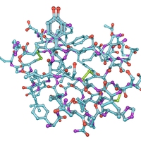 insulin