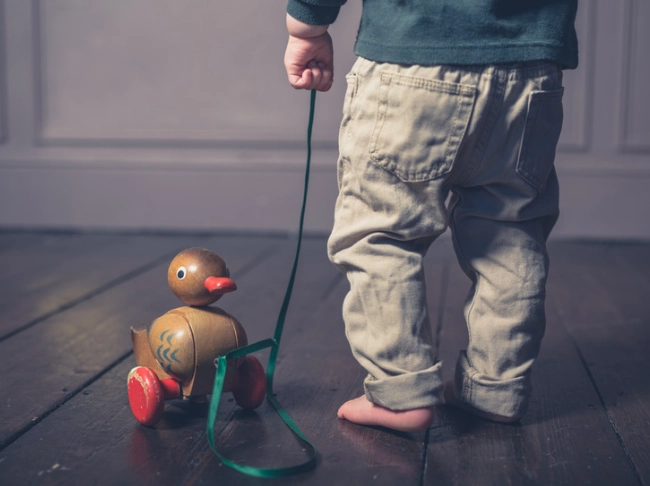 <p>pull-along toy</p>